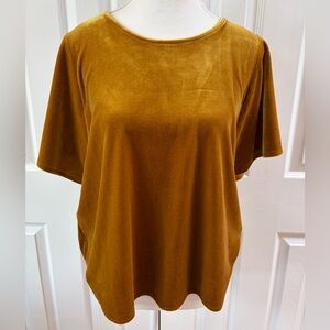 Madewell Gold Velour/Vellvet Boxy Short Sleeve Top Size M